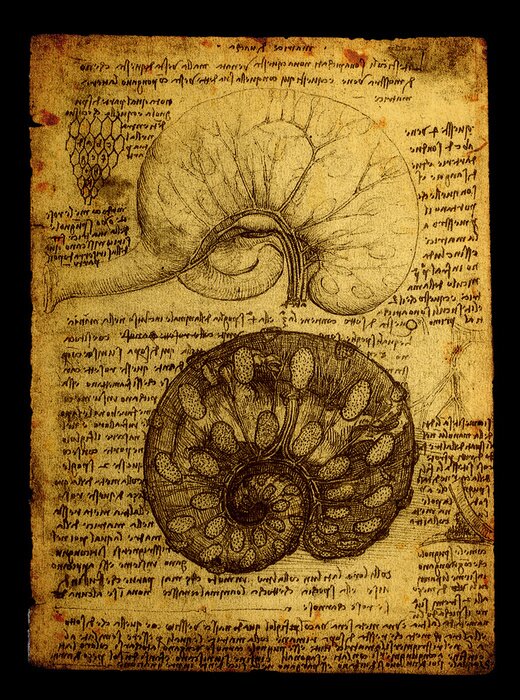 Poster  Illustration science et organes