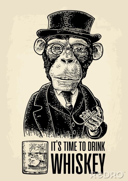 Poster  Illustration vintage avec un singe