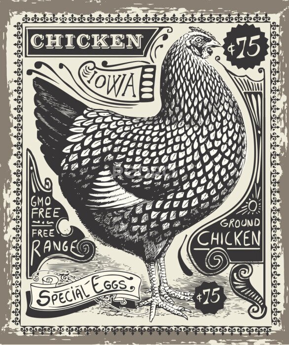 Poster  Illustration vintage d'une poule