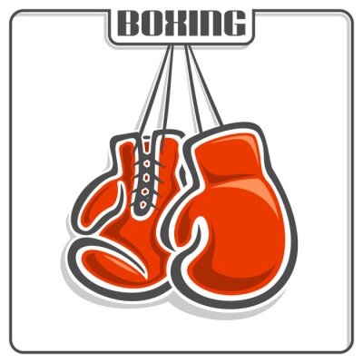 Image gants de boxe