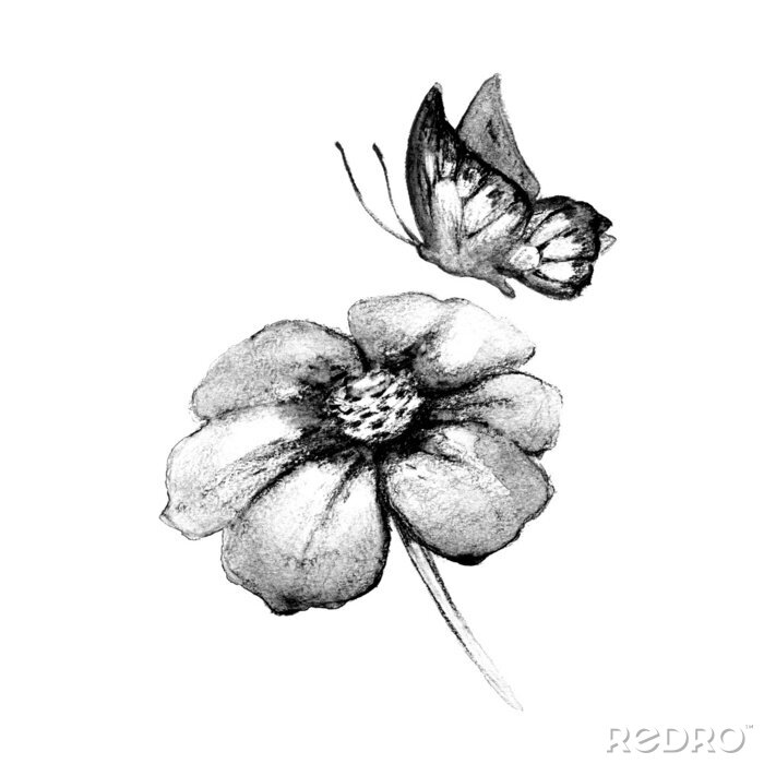 Poster  Image monochrome papillon et fleur
