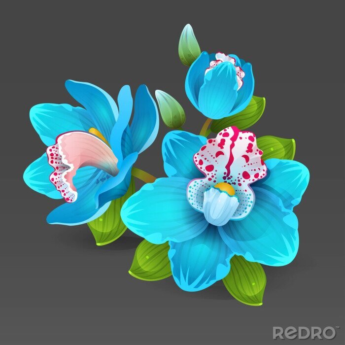 Poster  Image vectorielle de fleurs bleues