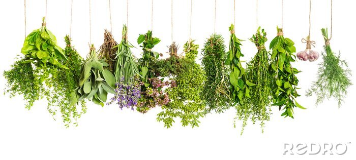 Poster  ingrédients alimentaires