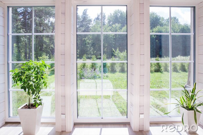 Poster  Intérieur lumineux de la pièce dans une maison en bois avec une grande fenêtre donnant sur la cour d'été. Paysage d'été en fenêtre blanche. Concept maison et jardin. Plante d'intérieur Sansevieria tri