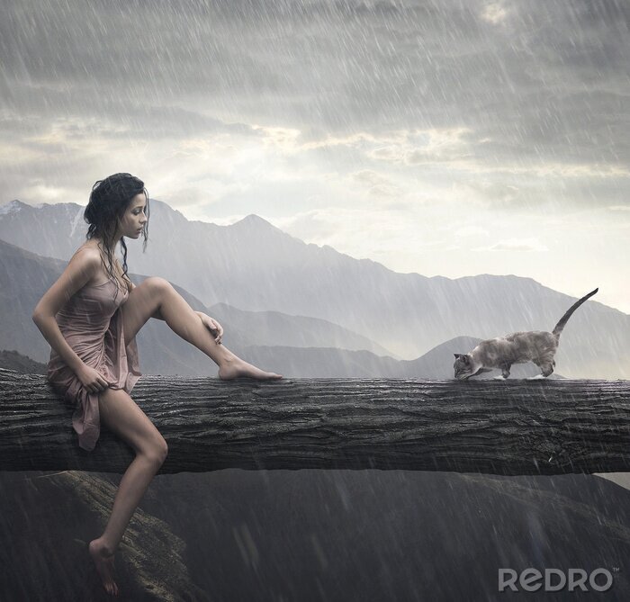 Poster  Jeune femme et chat sur un tronc