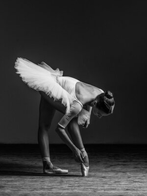Poster  Jeune, magnifique, ballerine, poser, studio