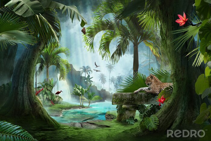 Poster  Jungle et animaux de la jungle