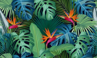 Poster  Jungle et fleurs tropicales