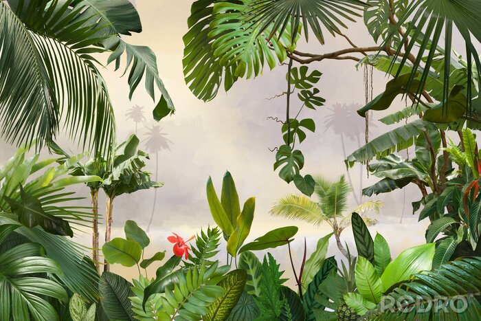 Poster  Jungle verte