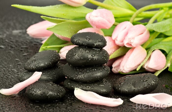 Poster  Kamienie spa