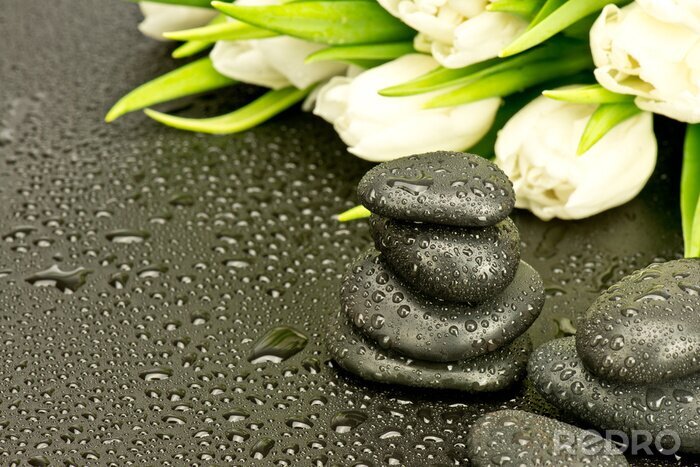 Poster  Kamienie spa