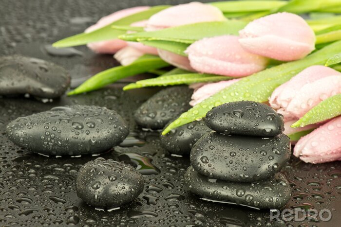 Poster  Kamienie spa