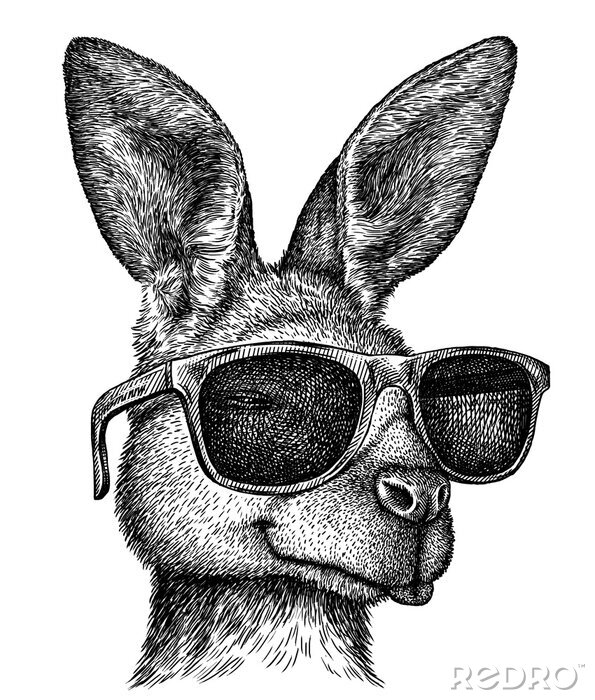 Poster  Kangourou en lunettes de soleil