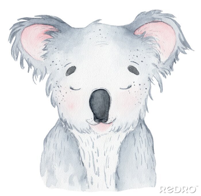 Poster  Koala aux yeux plissés aux couleurs pastel