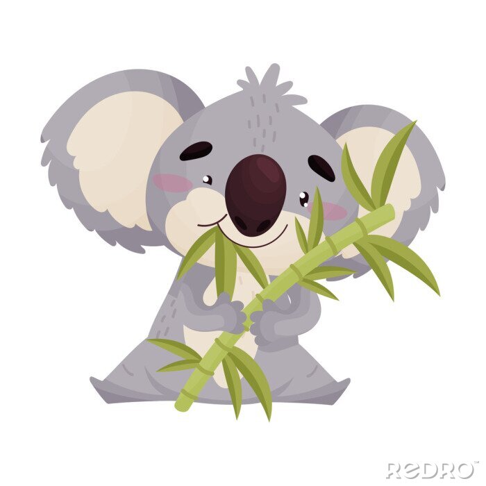 Poster  Koala souriant mangeant des feuilles de bambou