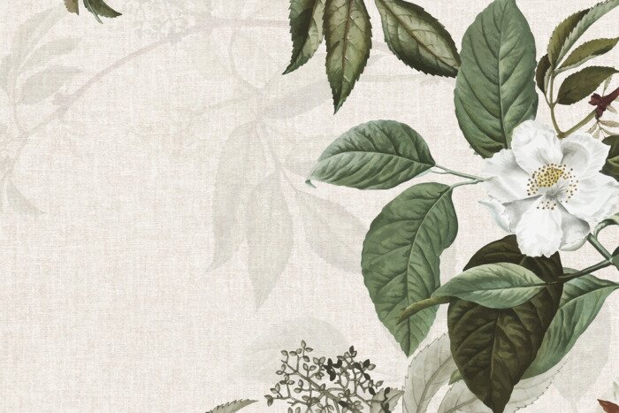 Poster  L'arbre est en fleur