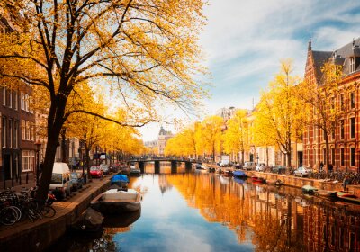 L'automne doré à Amsterdam