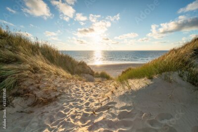 Poster  L'été au bord de la mer