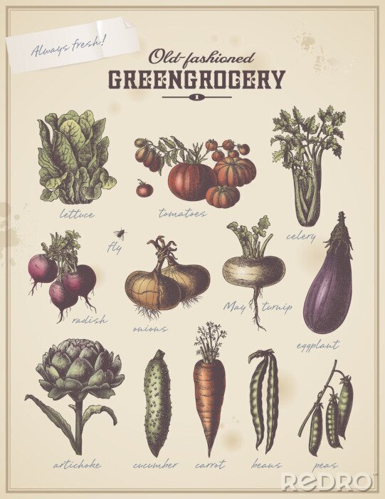 Poster  l'étiquette du millésime primeur avec différents légumes