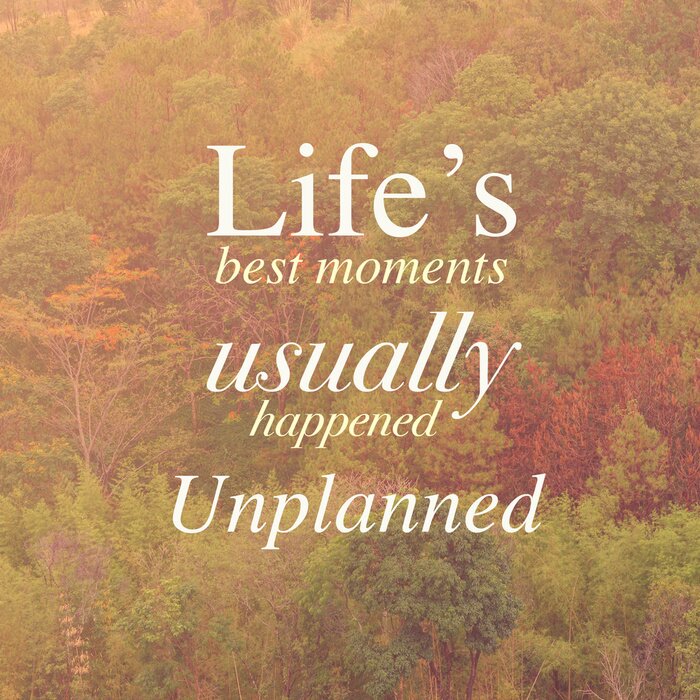 Poster  L'inscription sur la vie sur le fond des arbres