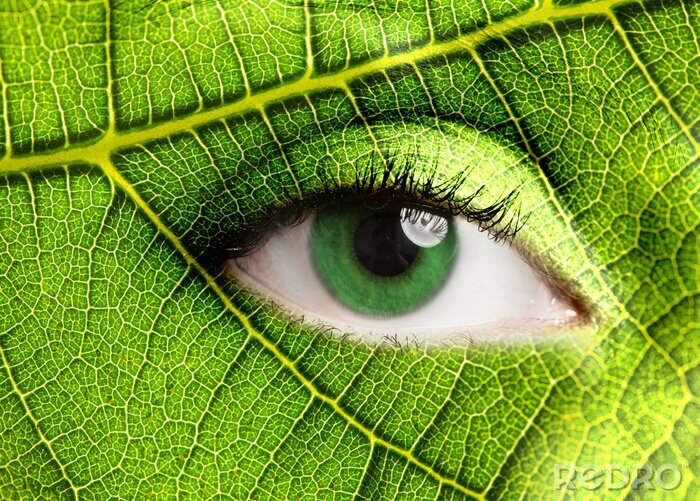 Poster  L'oeil de la nature en vert