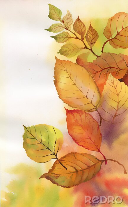 Poster  La nature du paysage d'automne