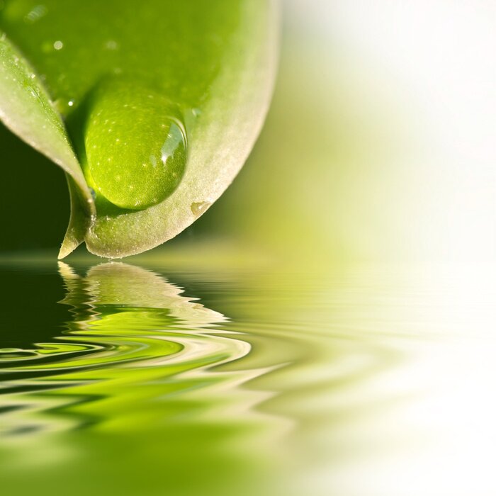 Poster  La nature se reflète dans la surface de l'eau