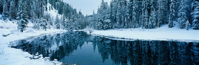 Poster  Lac d'hiver au milieu de la forêt