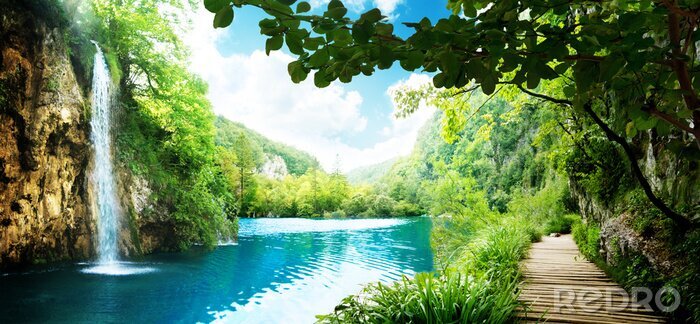 Poster  Lac de la cascade et rapides