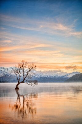 Poster  Lake Wanaka Otago Nouvelle Zélande
