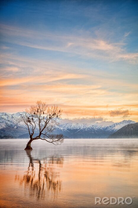 Poster  Lake Wanaka Otago Nouvelle Zélande