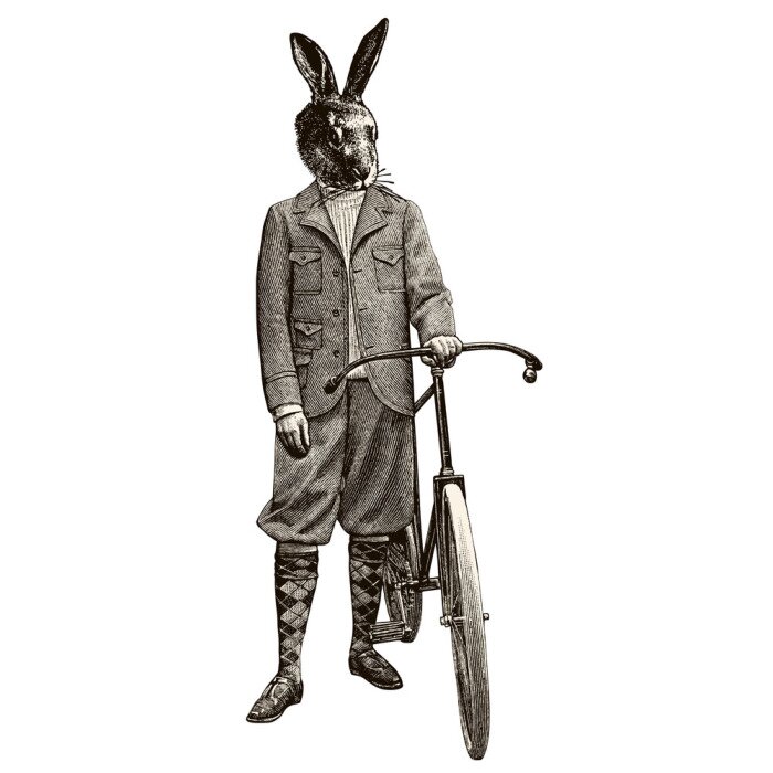 Poster  Lapin à vélo
