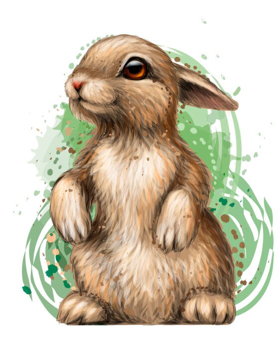 Poster  Lapin aquarellé sur fond vert