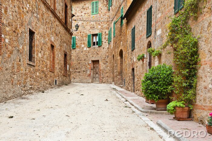 Poster  Large allée de sable