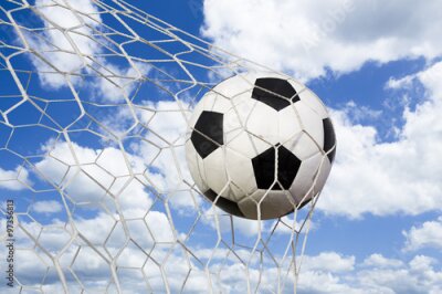 Poster  Le ballon entre dans le but