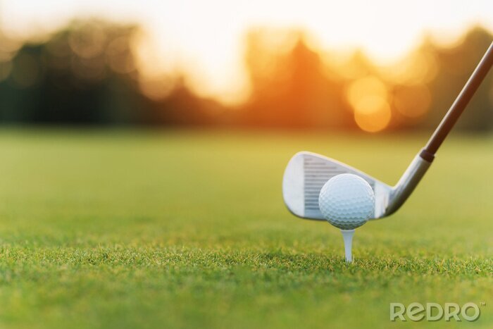 Poster  Le club de golf derrière la balle de golf sur le stand. Dans le contexte de l'herbe et le coucher du soleil