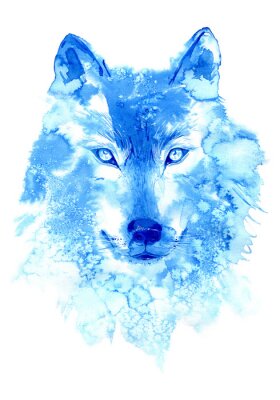 Poster  Le loup bleu