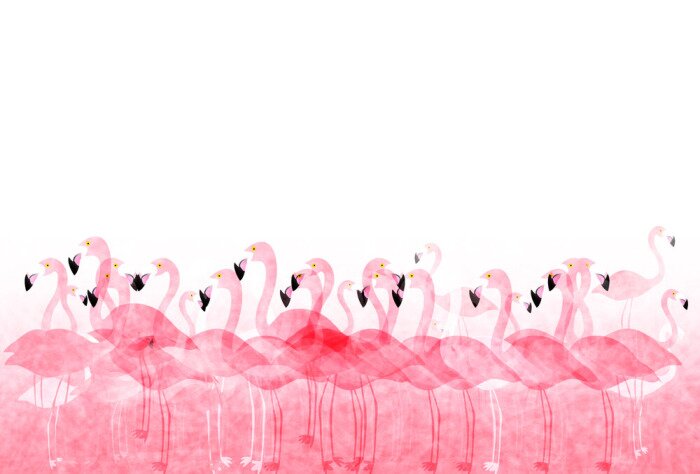 Poster  Le pays des flamants roses