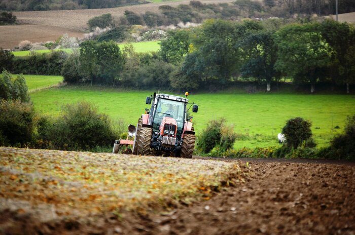 Poster  le temps des labours