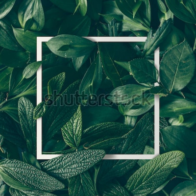 Poster  Le thème de la nature entrelacant un cadre blanc