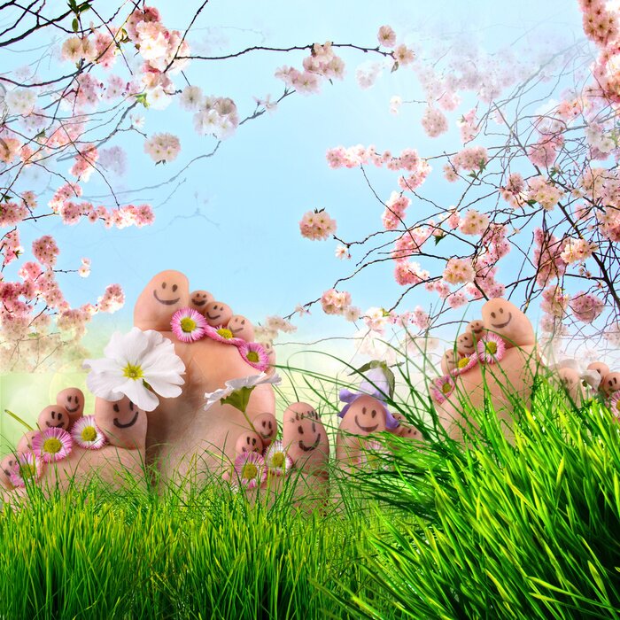 Poster  Le thème de la nature printanière entourant les pieds