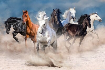 Le troupeau de chevaux courait dans la tempête de poussière du désert