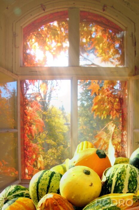 Poster  Légumes d'automne et rayons de soleil