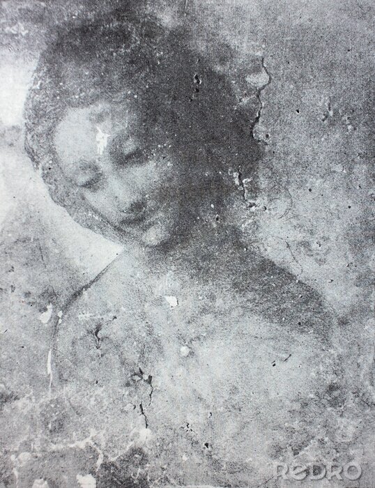 Poster  Léonard de Vinci Portrait féminin