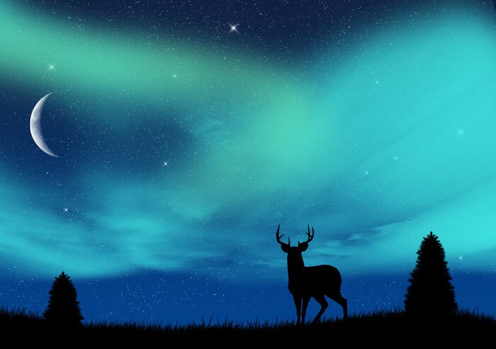 Poster  Les aurores boréales