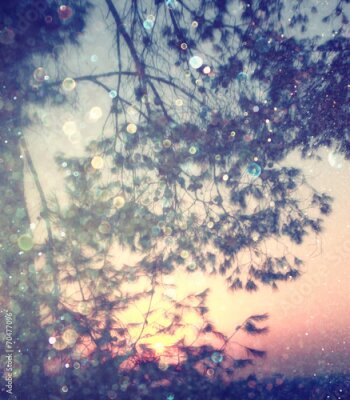 Poster  Les branches des arbres créent des reflets à la surface de l'eau