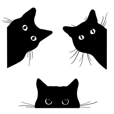Poster  Les contours noirs de trois têtes de chat