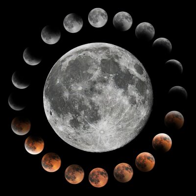 Poster  Les phases de la Lune - photographie