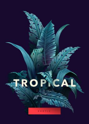 Lettrage jungle et tropical