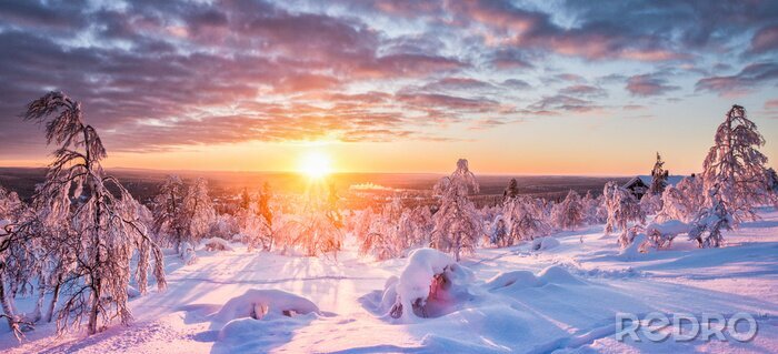 Poster  Lever de soleil d'hiver vu des montagnes